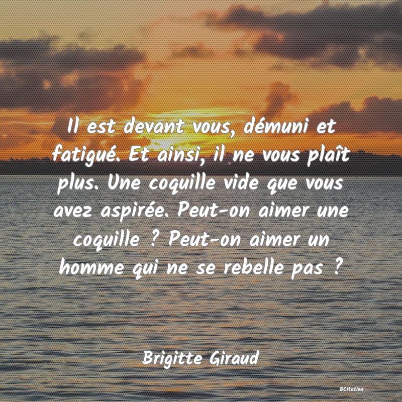 image de citation: Il est devant vous, démuni et fatigué. Et ainsi, il ne vous plaît plus. Une coquille vide que vous avez aspirée. Peut-on aimer une coquille ? Peut-on aimer un homme qui ne se rebelle pas ?