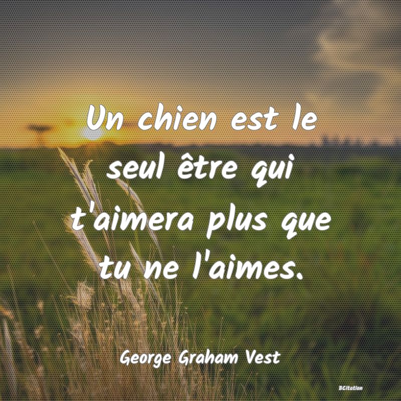 Belle Citation - Un chien est le seul être qui t'aimera plus que tu ne l'aimes. - George Graham Vest