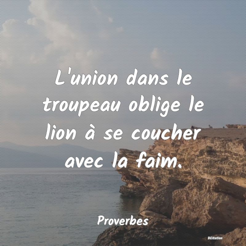 Belle Citation - L'union dans le troupeau oblige le lion à se coucher avec la faim. - Proverbes