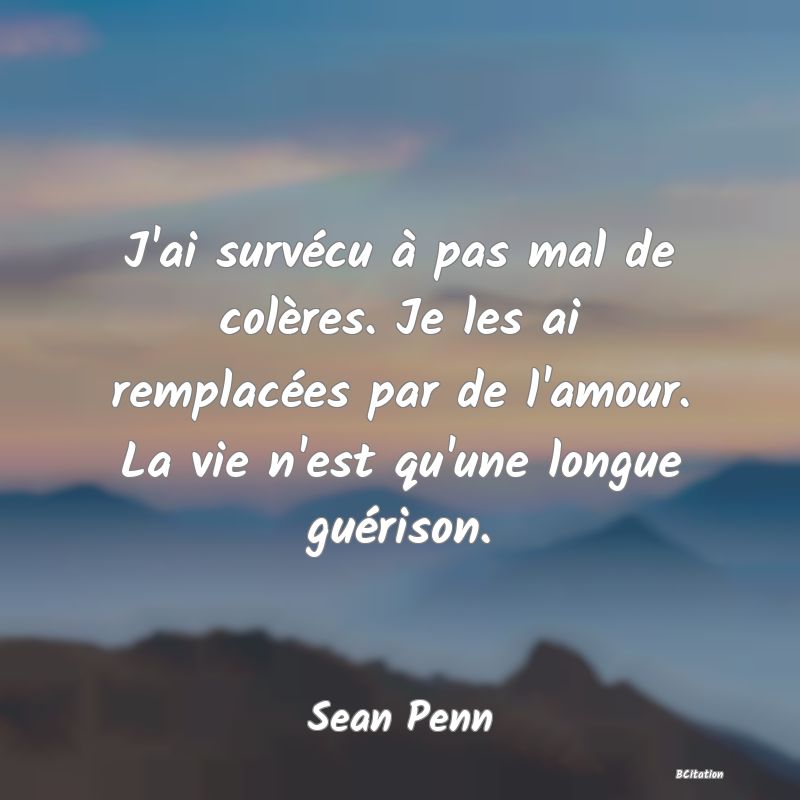 Belle Citation - J'ai survécu à pas mal de colères. Je les ai remplacées par de l'amour. La vie n'est qu'une longue guérison. - Sean Penn