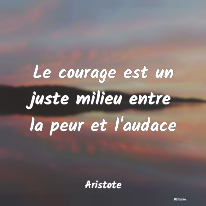 image de citation: Le courage est un juste milieu entre la peur et l'audace
