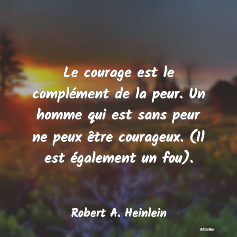 image de citation: Le courage est le complément de la peur. Un homme qui est sans peur ne peux être courageux. (Il est également un fou).