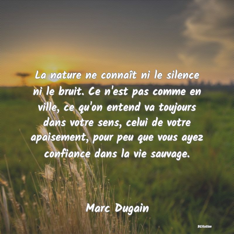 image de citation: La nature ne connaît ni le silence ni le bruit. Ce n'est pas comme en ville, ce qu'on entend va toujours dans votre sens, celui de votre apaisement, pour peu que vous ayez confiance dans la vie sauvage.