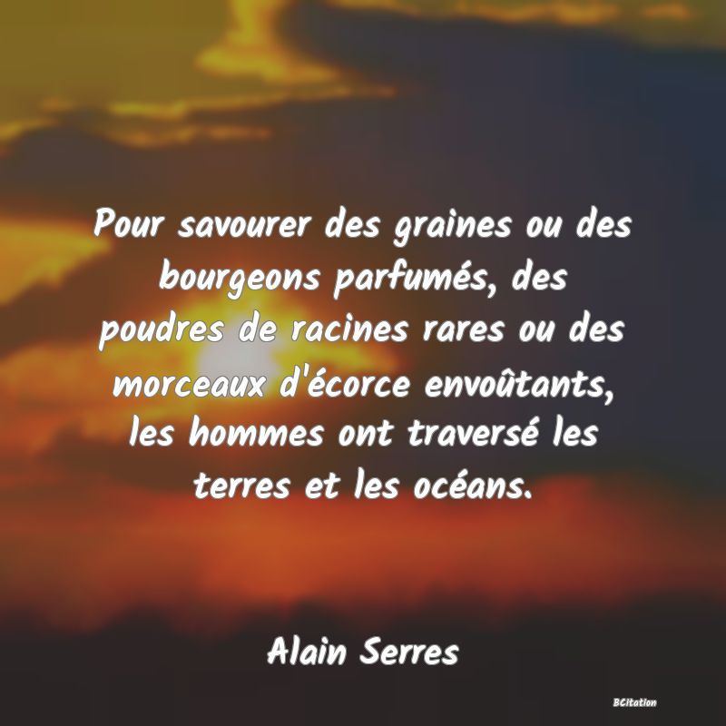 Belle Citation - Pour savourer des graines ou des bourgeons parfumés, des poudres de racines rares ou des morceaux d'écorce envoûtants, les hommes ont traversé les terres et les océans. - Alain Serres