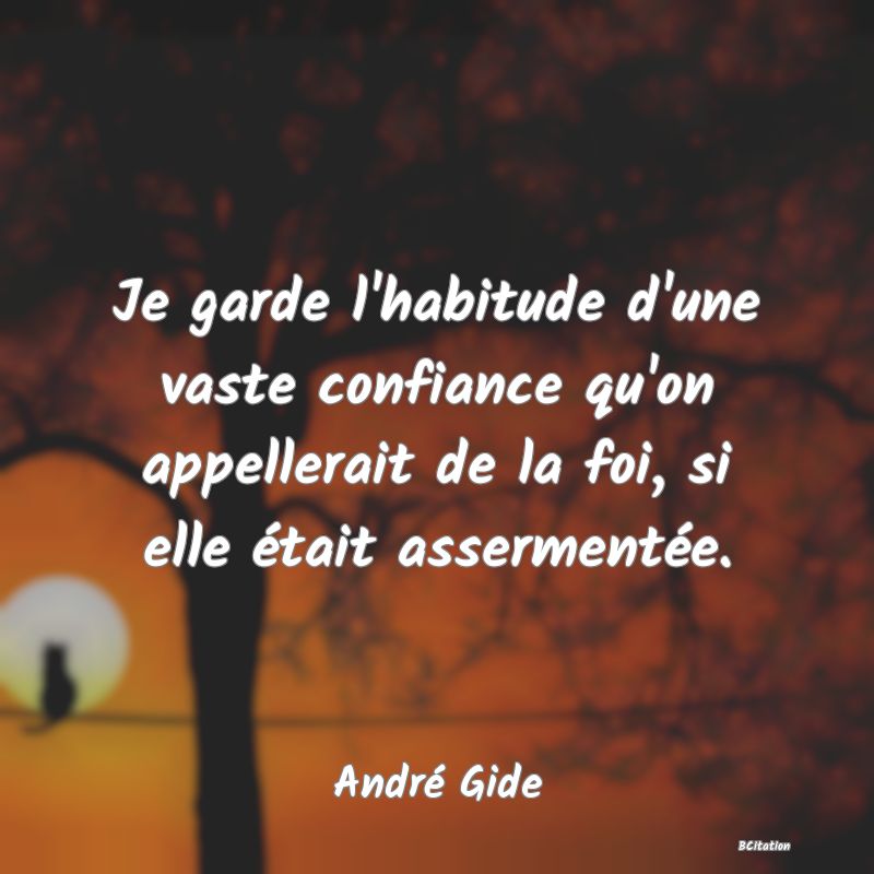 image de citation: Je garde l'habitude d'une vaste confiance qu'on appellerait de la foi, si elle était assermentée.