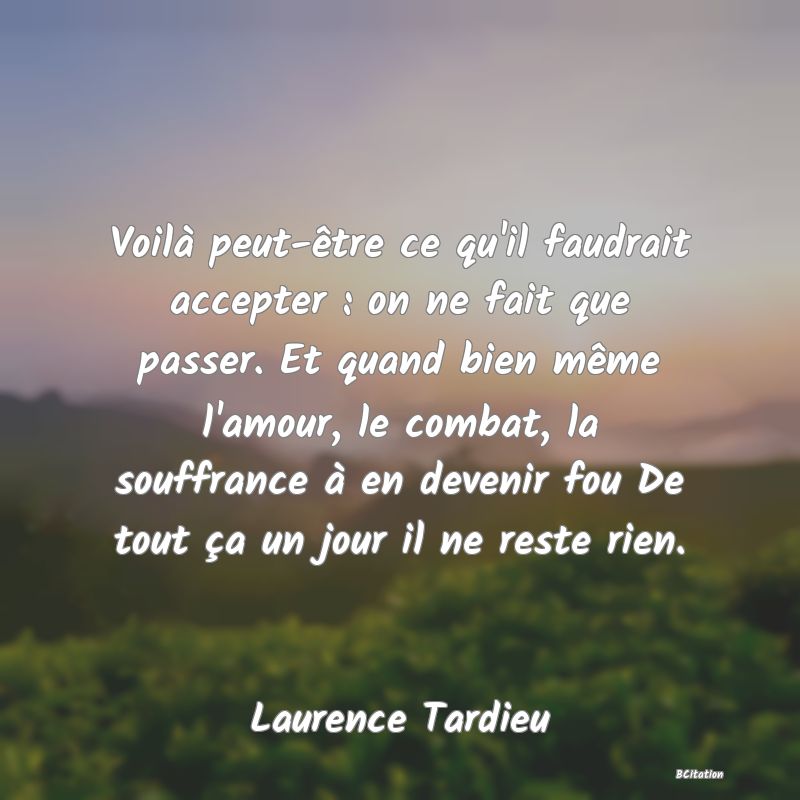 image de citation: Voilà peut-être ce qu'il faudrait accepter : on ne fait que passer. Et quand bien même l'amour, le combat, la souffrance à en devenir fou De tout ça un jour il ne reste rien.