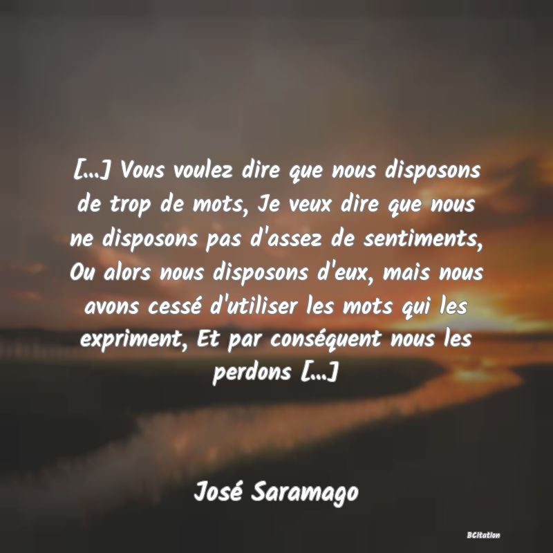 image de citation: [...] Vous voulez dire que nous disposons de trop de mots, Je veux dire que nous ne disposons pas d'assez de sentiments, Ou alors nous disposons d'eux, mais nous avons cessé d'utiliser les mots qui les expriment, Et par conséquent nous les perdons [...]