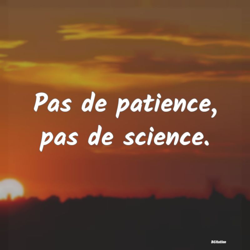 image de citation: Pas de patience, pas de science.