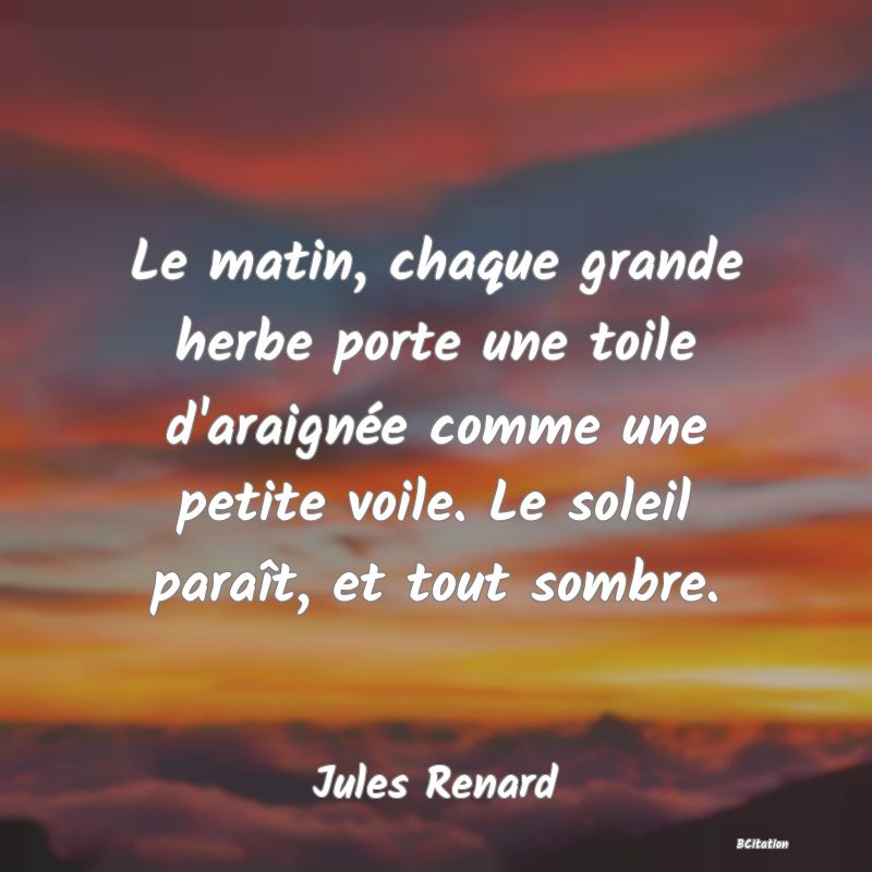 image de citation: Le matin, chaque grande herbe porte une toile d'araignée comme une petite voile. Le soleil paraît, et tout sombre.