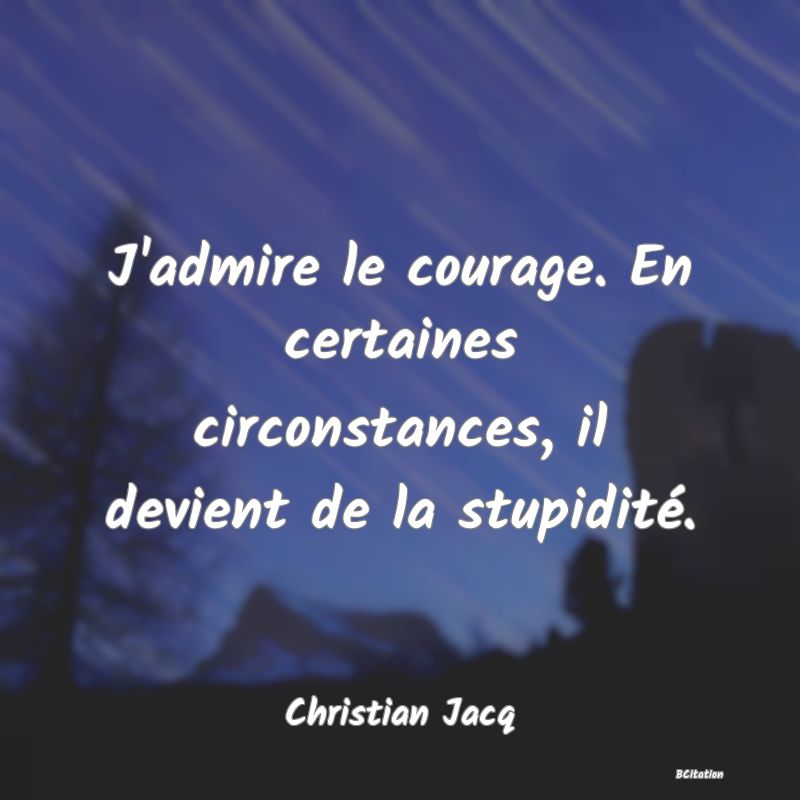 image de citation: J'admire le courage. En certaines circonstances, il devient de la stupidité.