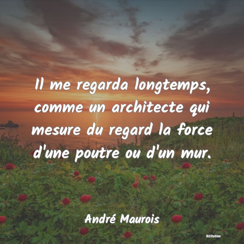 image de citation: Il me regarda longtemps, comme un architecte qui mesure du regard la force d'une poutre ou d'un mur.