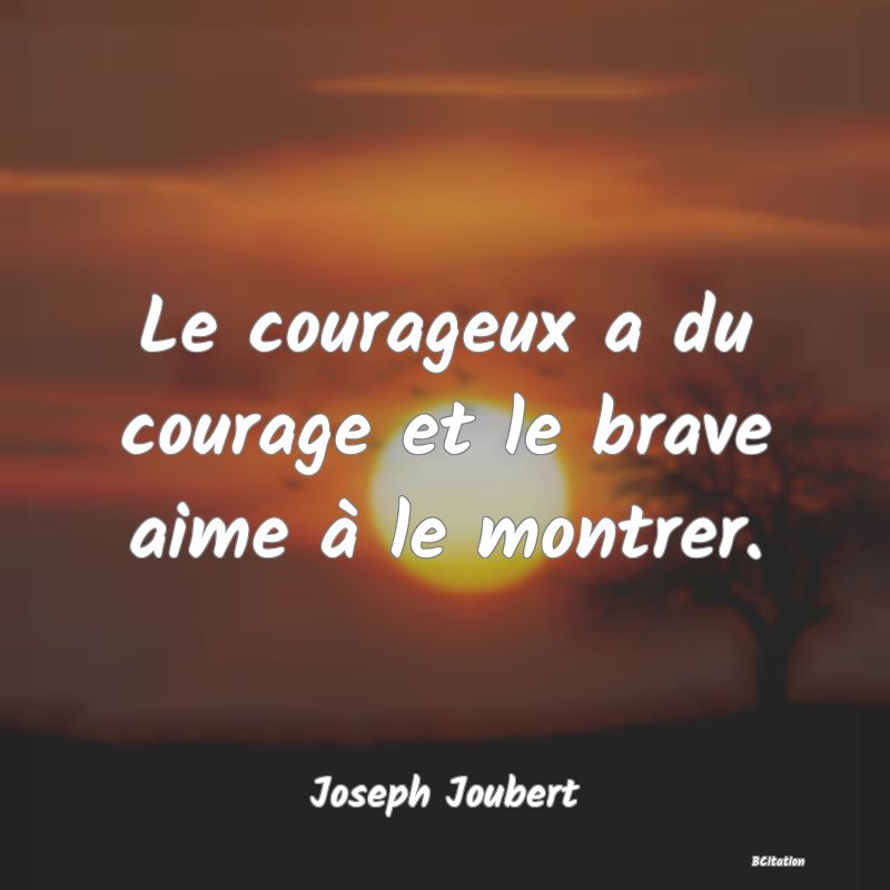 image de citation: Le courageux a du courage et le brave aime à le montrer.
