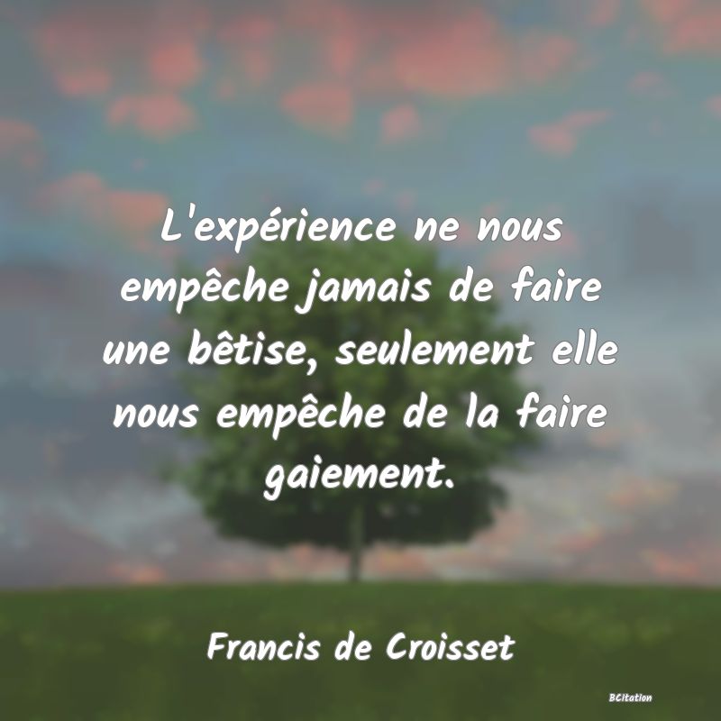 image de citation: L'expérience ne nous empêche jamais de faire une bêtise, seulement elle nous empêche de la faire gaiement.