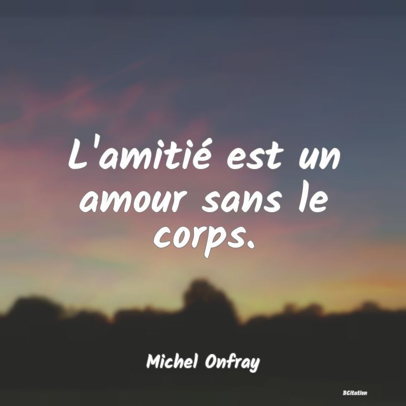 image de citation: L'amitié est un amour sans le corps.