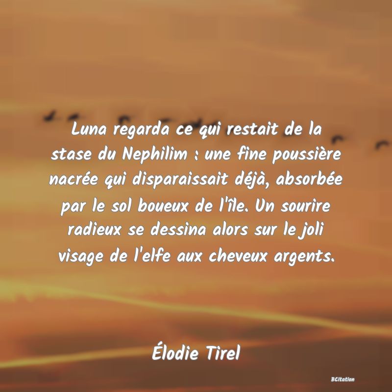 image de citation: Luna regarda ce qui restait de la stase du Nephilim : une fine poussière nacrée qui disparaissait déjà, absorbée par le sol boueux de l'île. Un sourire radieux se dessina alors sur le joli visage de l'elfe aux cheveux argents.