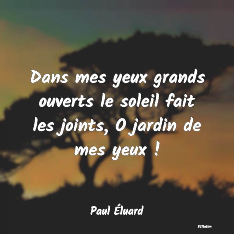 image de citation: Dans mes yeux grands ouverts le soleil fait les joints, O jardin de mes yeux !