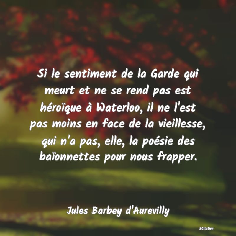 image de citation: Si le sentiment de la Garde qui meurt et ne se rend pas est héroïque à Waterloo, il ne l'est pas moins en face de la vieillesse, qui n'a pas, elle, la poésie des baïonnettes pour nous frapper.