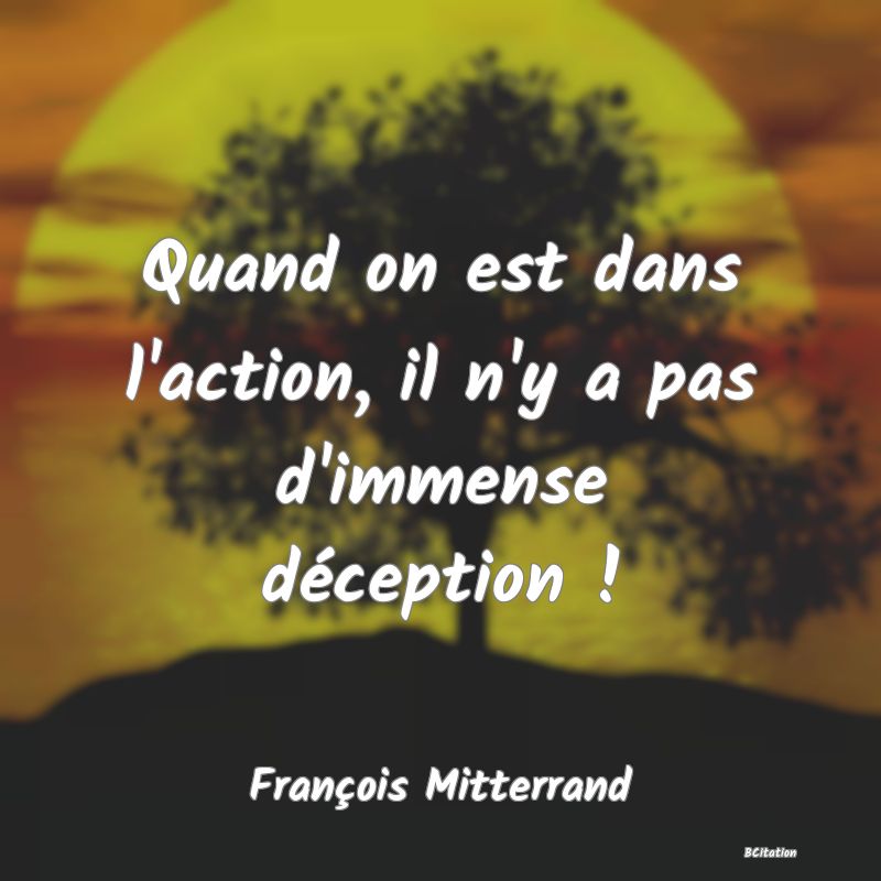 Belle Citation - Quand on est dans l'action, il n'y a pas d'immense déception ! - François Mitterrand