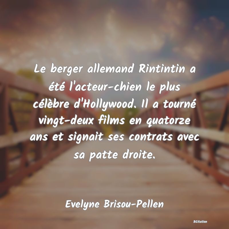 image de citation: Le berger allemand Rintintin a été l'acteur-chien le plus célèbre d'Hollywood. Il a tourné vingt-deux films en quatorze ans et signait ses contrats avec sa patte droite.