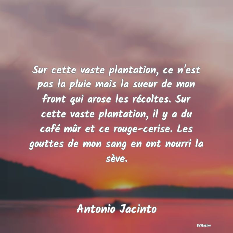 Belle Citation - Sur cette vaste plantation, ce n'est pas la pluie mais la sueur de mon front qui arose les récoltes. Sur cette vaste plantation, il y a du café mûr et ce rouge-cerise. Les gouttes de mon sang en ont nourri la sève. - Antonio Jacinto