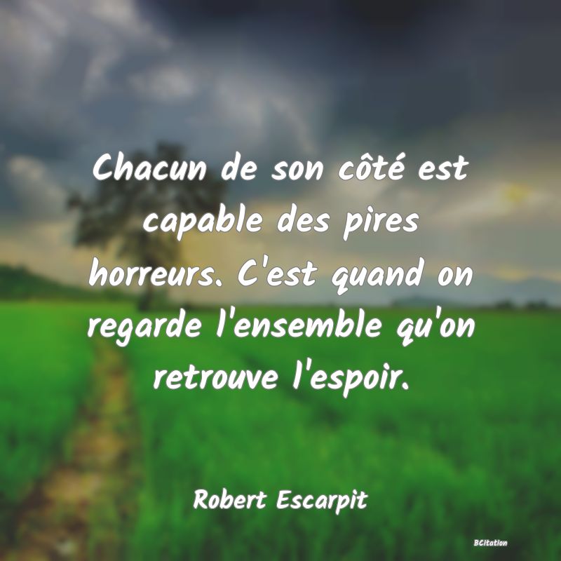 image de citation: Chacun de son côté est capable des pires horreurs. C'est quand on regarde l'ensemble qu'on retrouve l'espoir.