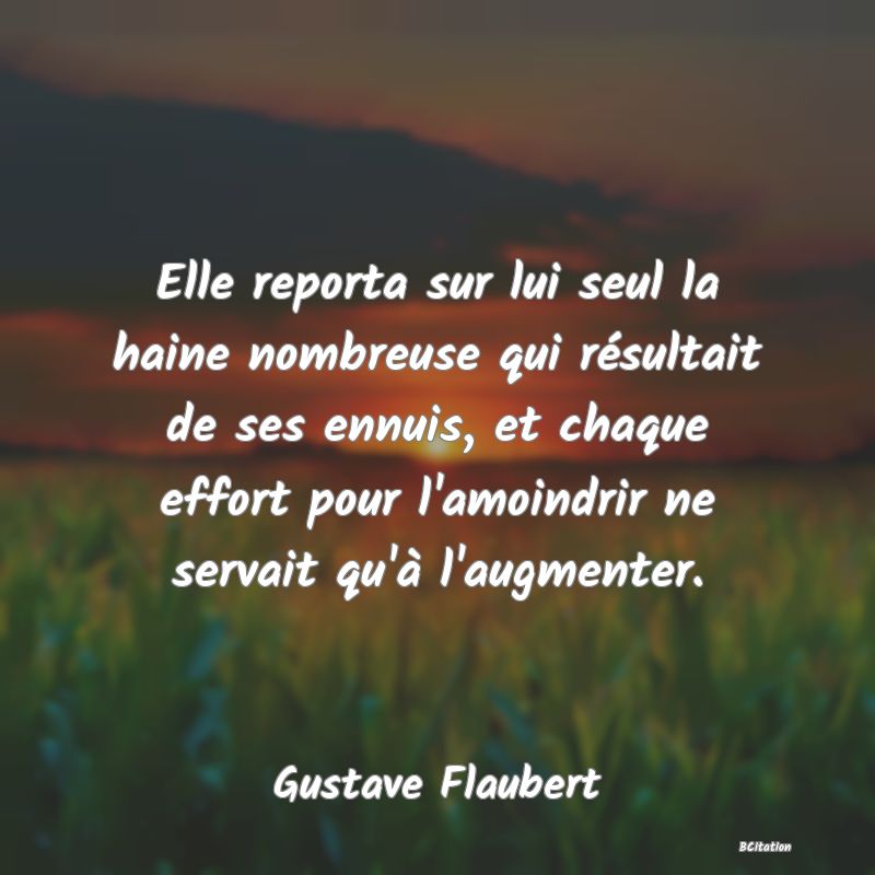 image de citation: Elle reporta sur lui seul la haine nombreuse qui résultait de ses ennuis, et chaque effort pour l'amoindrir ne servait qu'à l'augmenter.