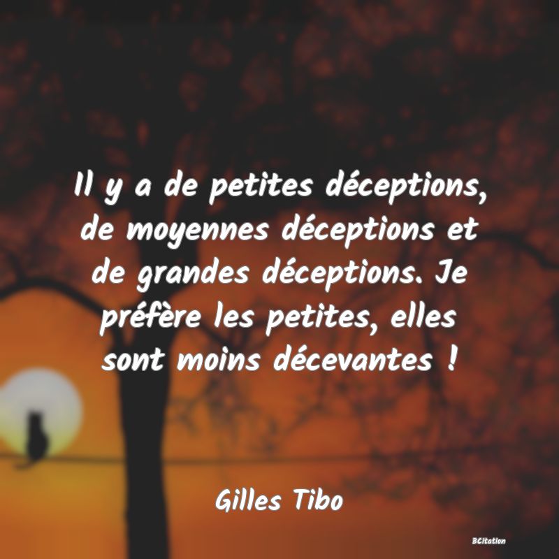 image de citation: Il y a de petites déceptions, de moyennes déceptions et de grandes déceptions. Je préfère les petites, elles sont moins décevantes !