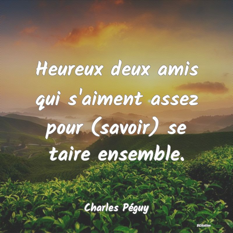 image de citation: Heureux deux amis qui s'aiment assez pour (savoir) se taire ensemble.