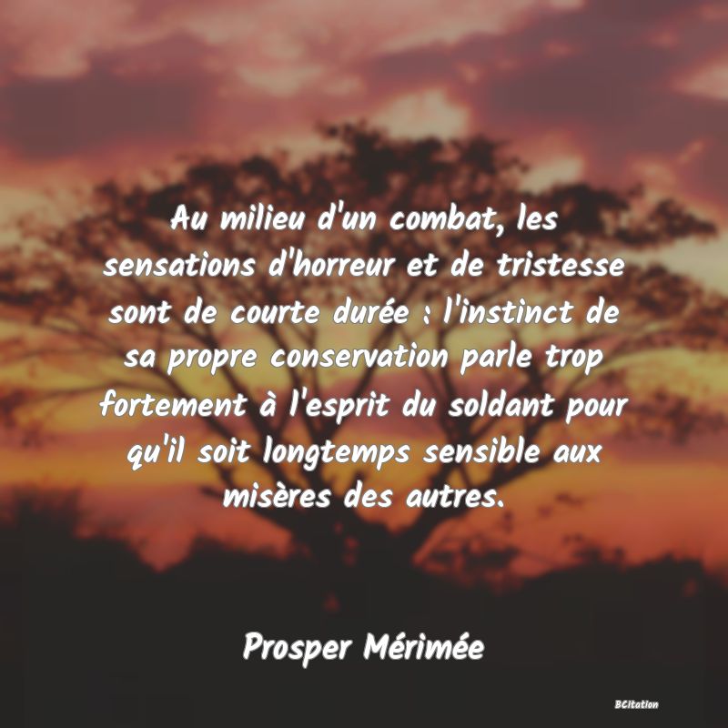 Belle Citation - Au milieu d'un combat, les sensations d'horreur et de tristesse sont de courte durée : l'instinct de sa propre conservation parle trop fortement à l'esprit du soldant pour qu'il soit longtemps sensible aux misères des autres. - Prosper Mérimée