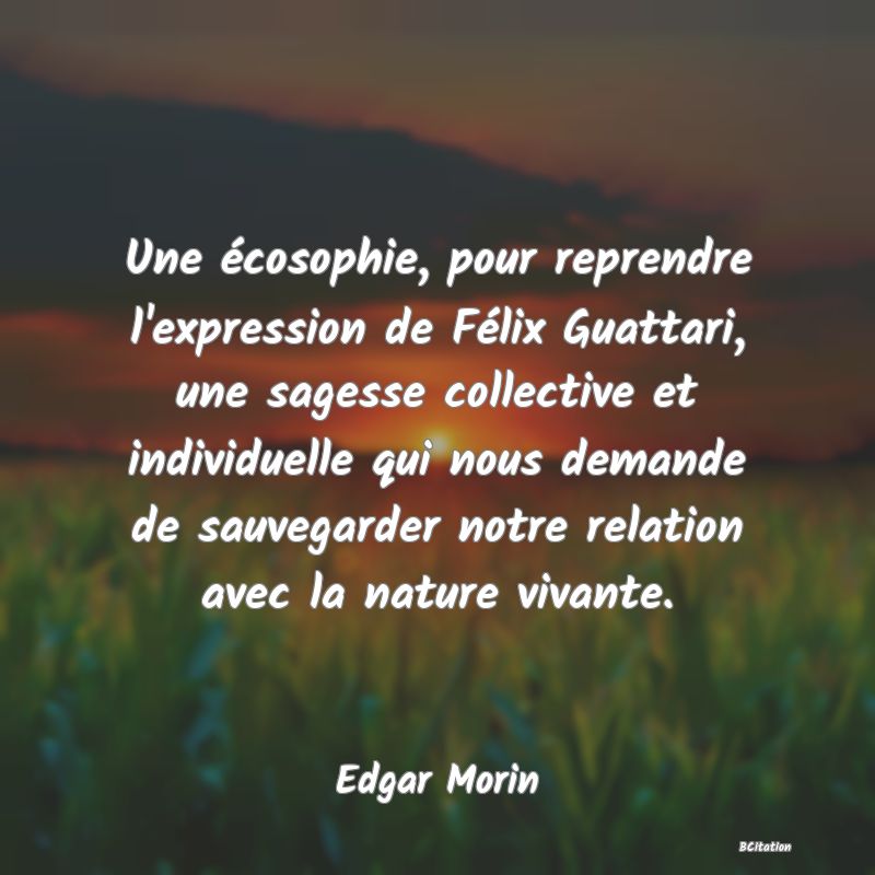 image de citation: Une écosophie, pour reprendre l'expression de Félix Guattari, une sagesse collective et individuelle qui nous demande de sauvegarder notre relation avec la nature vivante.