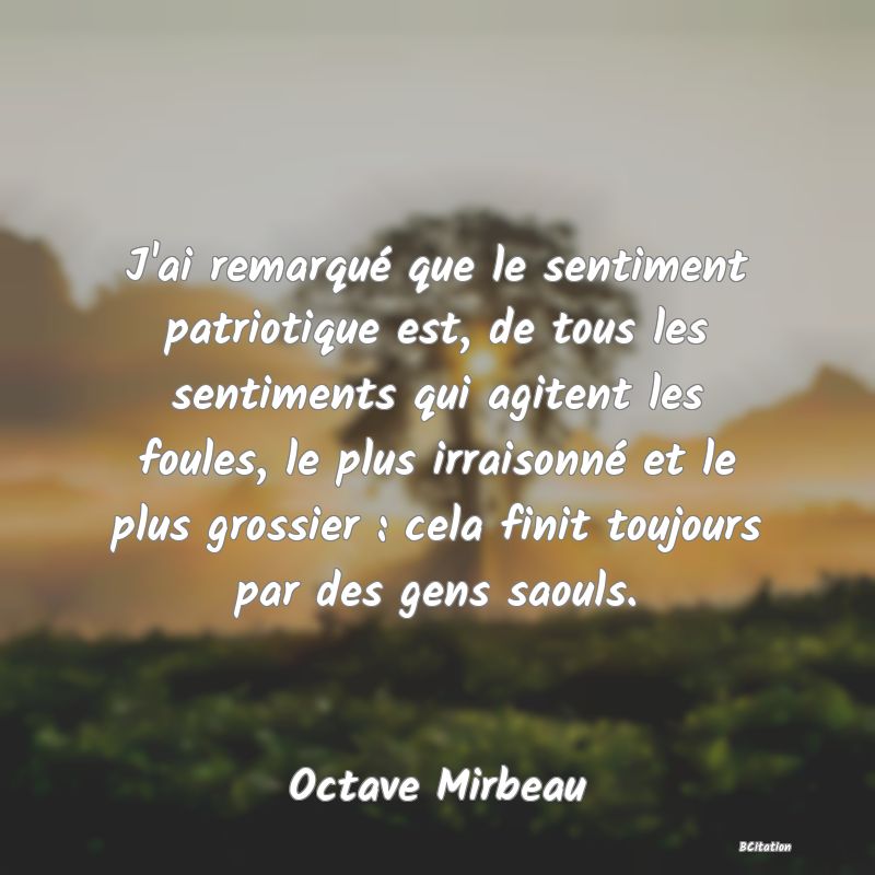 image de citation: J'ai remarqué que le sentiment patriotique est, de tous les sentiments qui agitent les foules, le plus irraisonné et le plus grossier : cela finit toujours par des gens saouls.