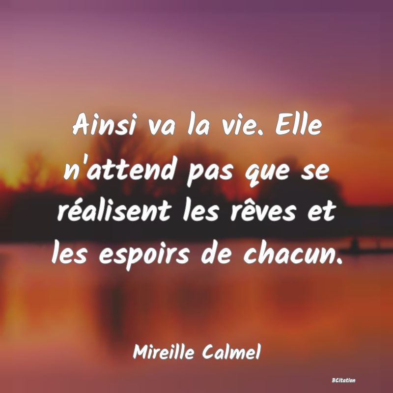 image de citation: Ainsi va la vie. Elle n'attend pas que se réalisent les rêves et les espoirs de chacun.