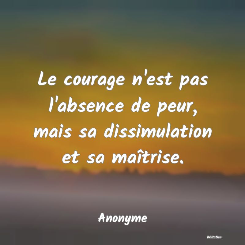 image de citation: Le courage n'est pas l'absence de peur, mais sa dissimulation et sa maîtrise.