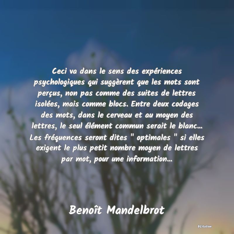 image de citation: Ceci va dans le sens des expériences psychologiques qui suggèrent que les mots sont perçus, non pas comme des suites de lettres isolées, mais comme blocs. Entre deux codages des mots, dans le cerveau et au moyen des lettres, le seul élément commun serait le blanc... Les fréquences seront dites   optimales   si elles exigent le plus petit nombre moyen de lettres par mot, pour une information...