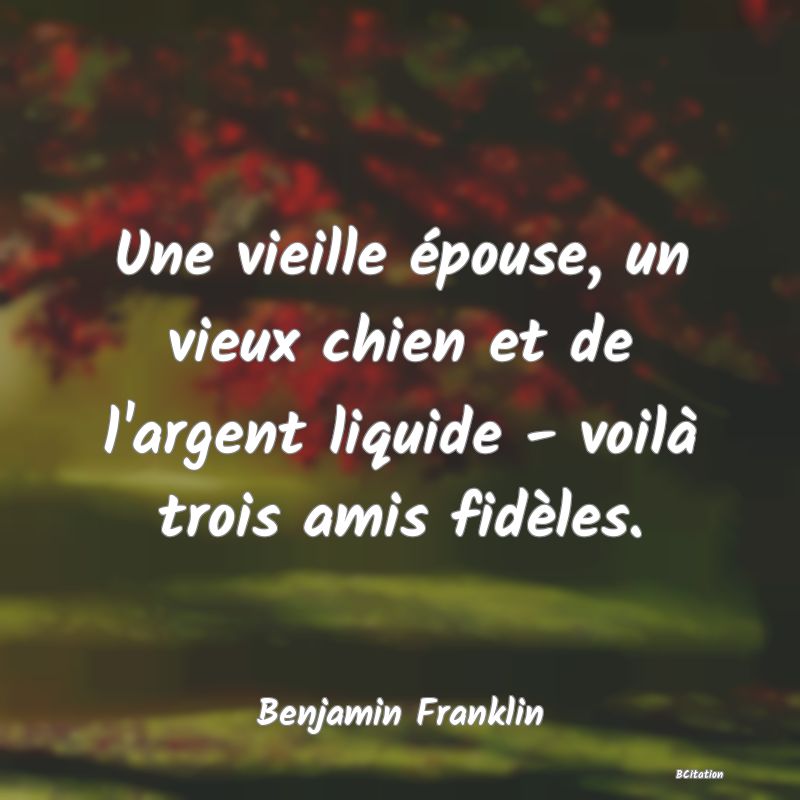 image de citation: Une vieille épouse, un vieux chien et de l'argent liquide - voilà trois amis fidèles.