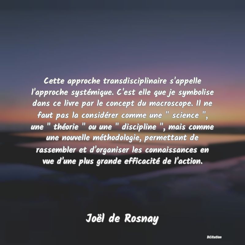 image de citation: Cette approche transdisciplinaire s'appelle l'approche systémique. C'est elle que je symbolise dans ce livre par le concept du macroscope. Il ne faut pas la considérer comme une   science  , une   théorie   ou une   discipline  , mais comme une nouvelle méthodologie, permettant de rassembler et d'organiser les connaissances en vue d'une plus grande efficacité de l'action.