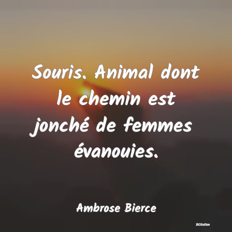 image de citation: Souris. Animal dont le chemin est jonché de femmes évanouies.