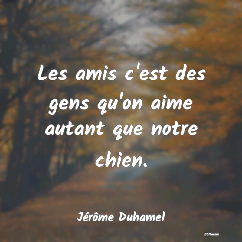 image de citation: Les amis c'est des gens qu'on aime autant que notre chien.