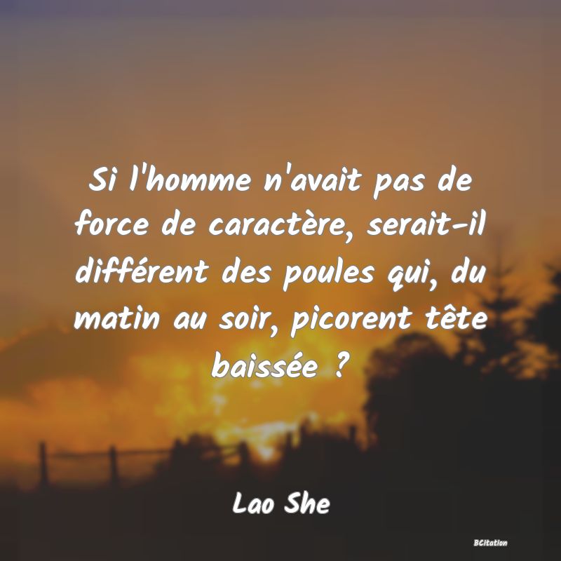 image de citation: Si l'homme n'avait pas de force de caractère, serait-il différent des poules qui, du matin au soir, picorent tête baissée ?