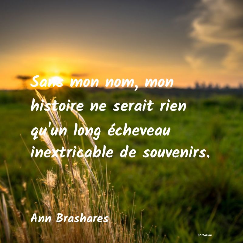 image de citation: Sans mon nom, mon histoire ne serait rien qu'un long écheveau inextricable de souvenirs.