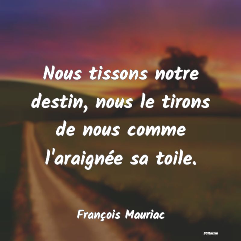 image de citation: Nous tissons notre destin, nous le tirons de nous comme l'araignée sa toile.