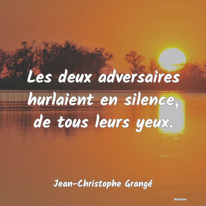 image de citation: Les deux adversaires hurlaient en silence, de tous leurs yeux.