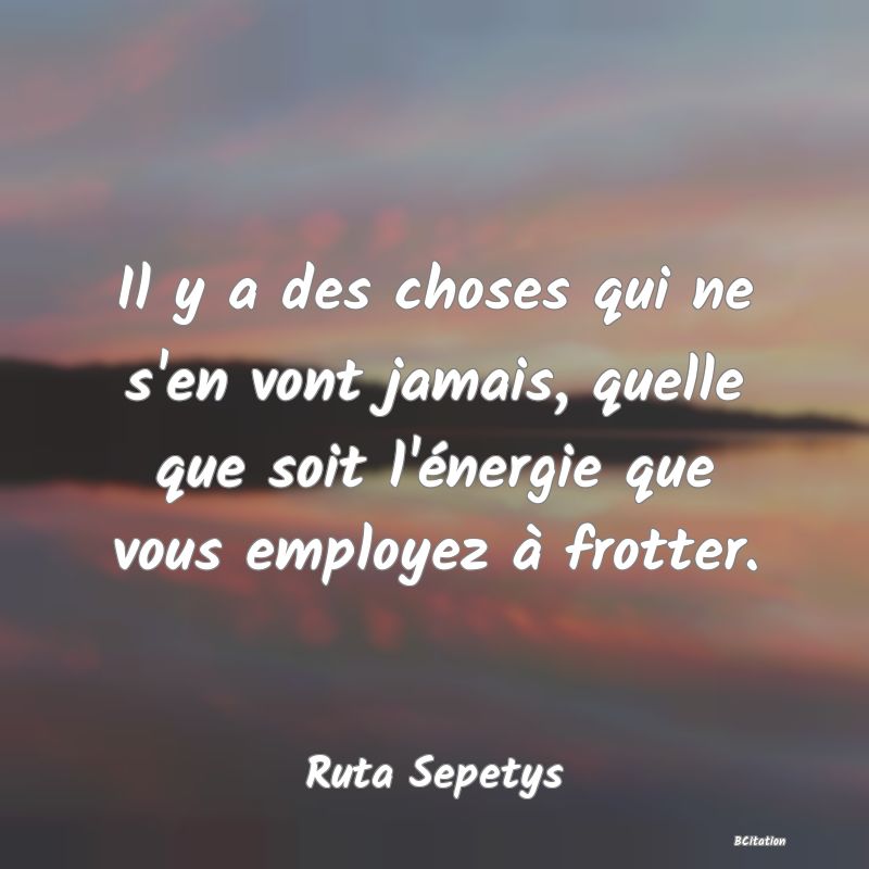 image de citation: Il y a des choses qui ne s'en vont jamais, quelle que soit l'énergie que vous employez à frotter.