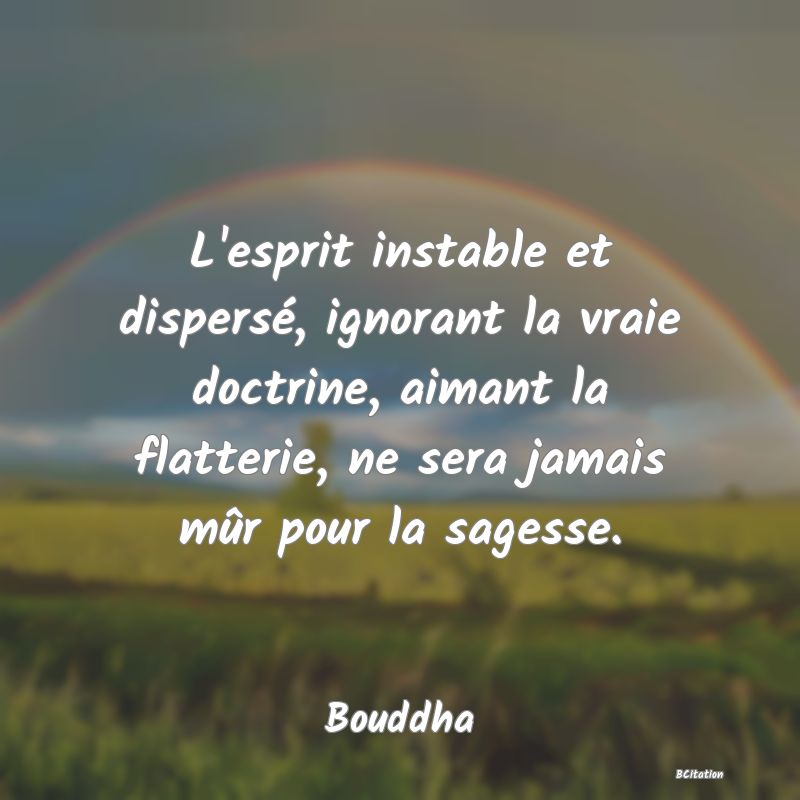 image de citation: L'esprit instable et dispersé, ignorant la vraie doctrine, aimant la flatterie, ne sera jamais mûr pour la sagesse.