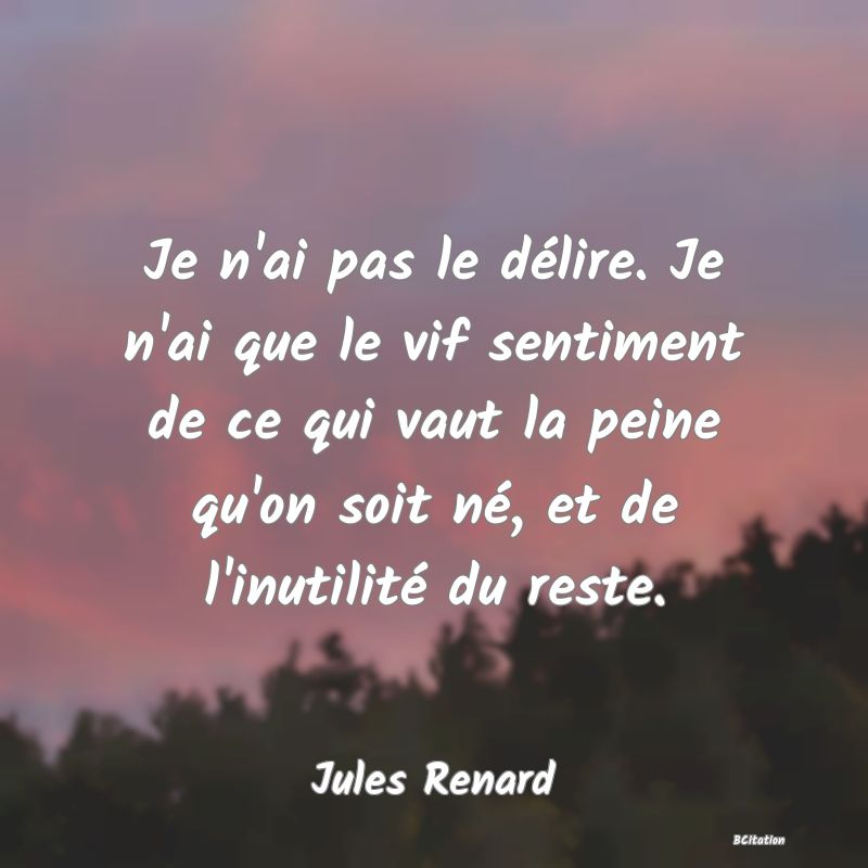 image de citation: Je n'ai pas le délire. Je n'ai que le vif sentiment de ce qui vaut la peine qu'on soit né, et de l'inutilité du reste.