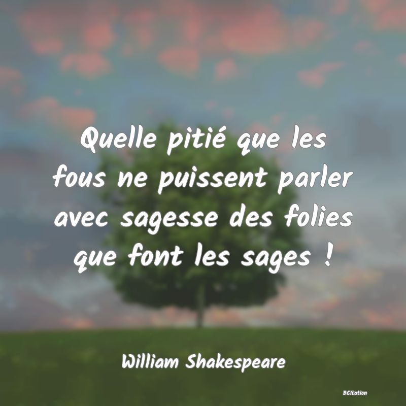 image de citation: Quelle pitié que les fous ne puissent parler avec sagesse des folies que font les sages !