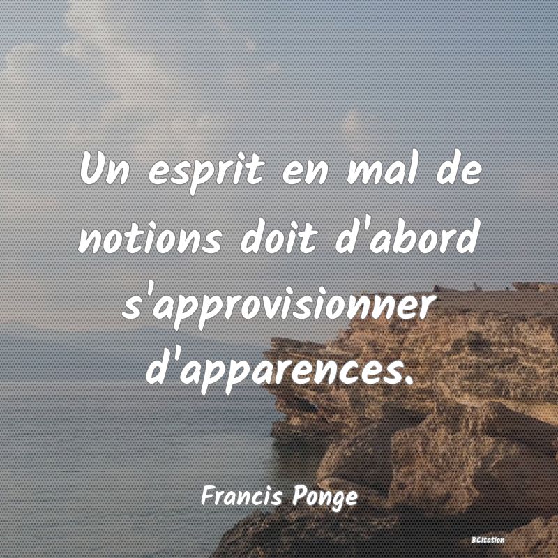 image de citation: Un esprit en mal de notions doit d'abord s'approvisionner d'apparences.