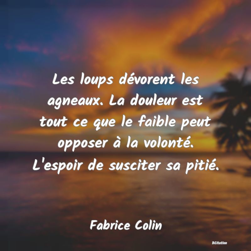 Belle Citation - Les loups dévorent les agneaux. La douleur est tout ce que le faible peut opposer à la volonté. L'espoir de susciter sa pitié. - Fabrice Colin