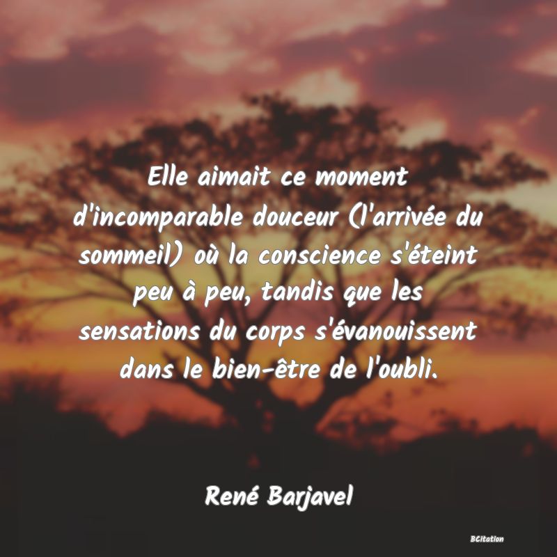 image de citation: Elle aimait ce moment d'incomparable douceur (l'arrivée du sommeil) où la conscience s'éteint peu à peu, tandis que les sensations du corps s'évanouissent dans le bien-être de l'oubli.