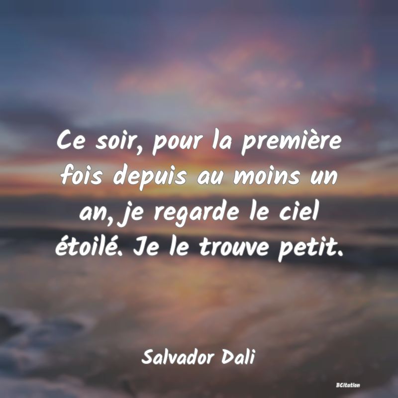 image de citation: Ce soir, pour la première fois depuis au moins un an, je regarde le ciel étoilé. Je le trouve petit.